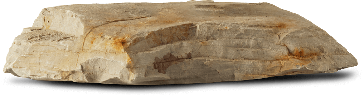 Image of Lomacasa Homepage it by 45